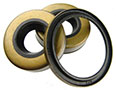 Oil, Lip, and Shaft Seals